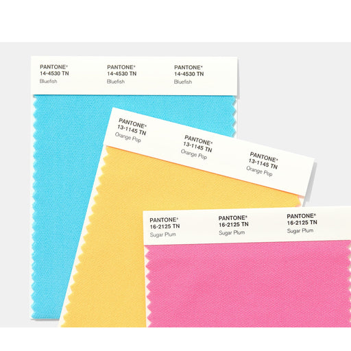 Pantone Nylon Brights Swatch Card TN SWCDTN textile color standard
