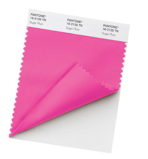 Pantone Nylon Brights Swatch Card TN for textile color matching